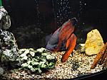 DSCF0054