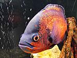 DSCF0059