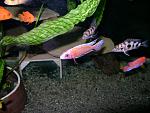 DSC02203
