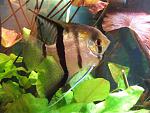 DSCF0547