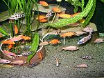 DSC02194