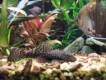 DSCF0555