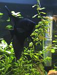 DSC02739
