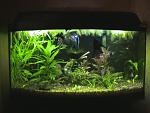DSC03179