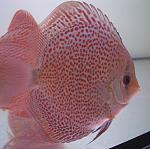 CIMG0235