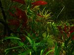DSC01857 (1)
