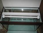 IMG 2795