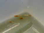 IMG 0578.jpg1