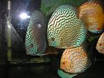 P3070015