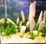 60l