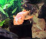 IMG 0714