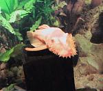 IMG 0716