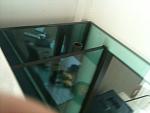 IMG 0027