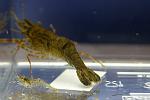IMG 4350