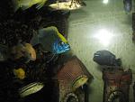 IMG 4290