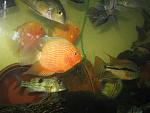 IMG 4276