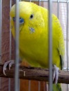  " "