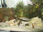 IMG 7377