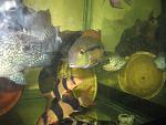 IMG 4285