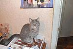DSC 0003