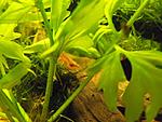 DSCF0018