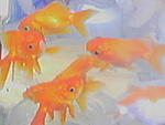 090607 122151