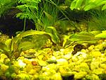 DSCF0016
