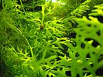 DSCF0012