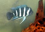 P3173773