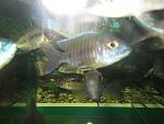 IMG 4338