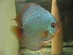 IMG 4667