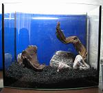 IMG 5276