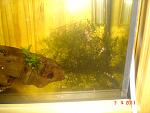 DSC04914
