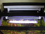 IMG 4266