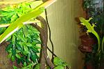 DSC02321