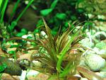 IMG 4185