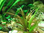IMG 4183