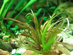 IMG 4182