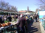 DSC05259