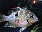 IMG 1738