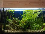   2010 .     .  -     Tetra PlantaMint    + 2   30%   .