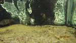 IMG 1918