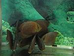 IMG 0890