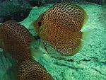 IMG 0880