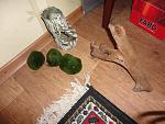 DSC00196