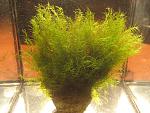 IMG 5276