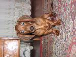 IMG 0274