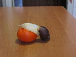 IMG 0241