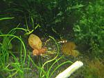 IMG 5328