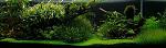 user15052 pic68825 1306822535
